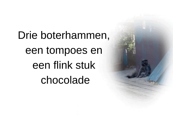 Drie boterhammen, een tompoes en een flink stuk chocolade Drie boterhammen, een tompoes en een flink stuk chocolade