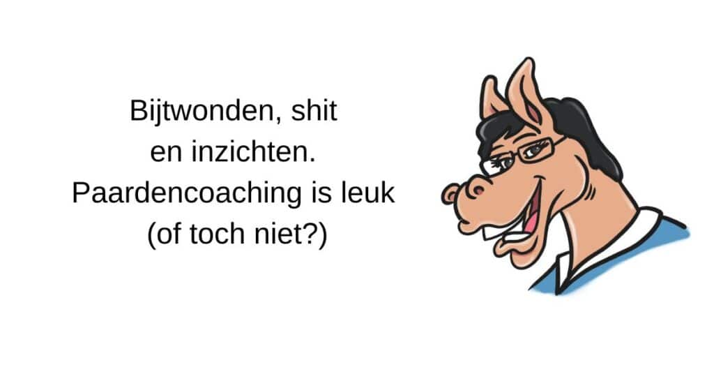 Bijtwonden, shit en inzichten. Paardencoaching is leuk (of toch niet)