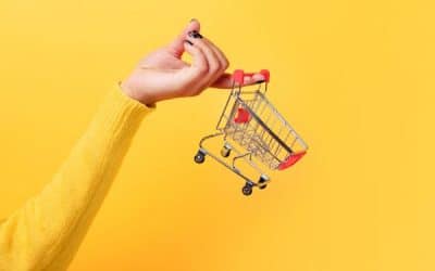 Welke shopping cart is de beste? Kennis.Shop, Plug & Pay, Autorespond of Moneybird