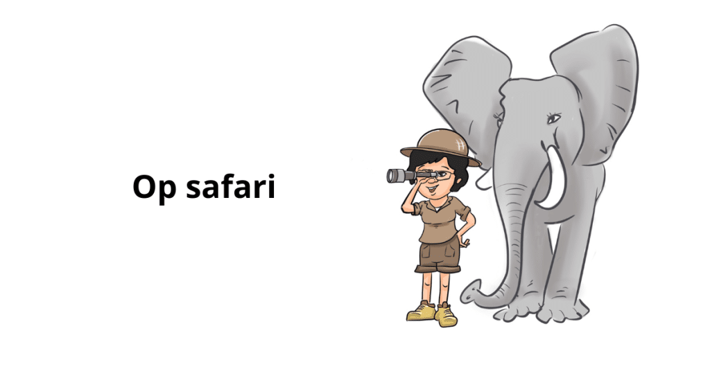 Op safari